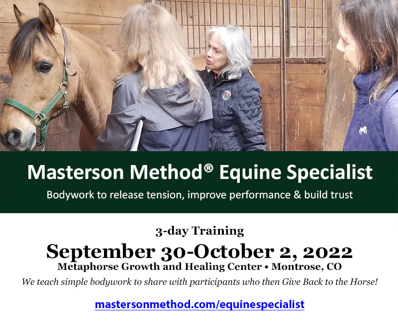 Masterson Method Equine Specialist Training