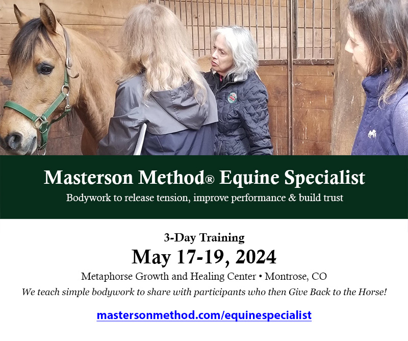 3-day course: Masterson Method Equine Specialist Training